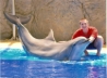 20140506_-_Grand_Canaria_-_Bjoern_mit_Delphin_Sunset_3.jpg